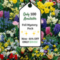 Adventure Pack 250+ Bulbs Grab Bag