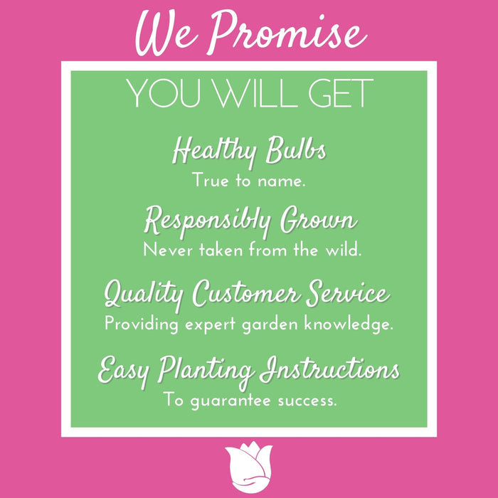 easy to grow promise