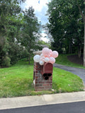 Balloon Bursts