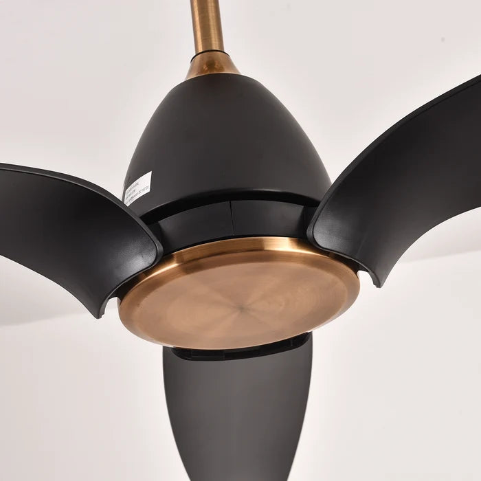 Blackbird Ceiling Fan | BLDC 50W | 56 inch Blade | ABS Body