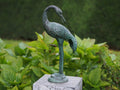 Bronzen beeld Kleine kraanvogel gebogen 47x13x23cm - Doika - Bronzen beeld - Doika - 5410807117927 - AN1179BR-V-2