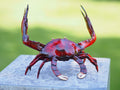 Bronzen beeld Krab 16x13x19cm - Doika - Bronzen beeld - Doika - 5410807051153 - AN5115BR-C
