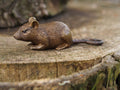 Bronzen beeld Muis 4x4x13cm - Doika - Bronzen beeld - Doika - 5410807113271 - AN1327BR-B