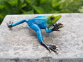 Bronzen beeld Regenwoudkikker / blauw 5x15x19cm - Doika - Bronzen beeld - Doika - 5410807009833 - AN0983BR-C