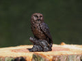 Bronzen beeld Uil op boomstronk 11x5x7cm - Doika - Bronzen beeld - Doika - 5410807015131 - BS1513B