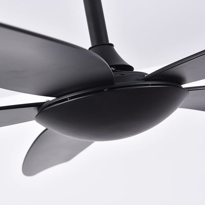 Catbird Black Ceiling Fan | 55W BLDC Motor | 1400mm | Black Body