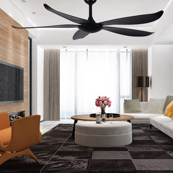 Catbird Black Ceiling Fan | 55W BLDC Motor | 1400mm | Black Body