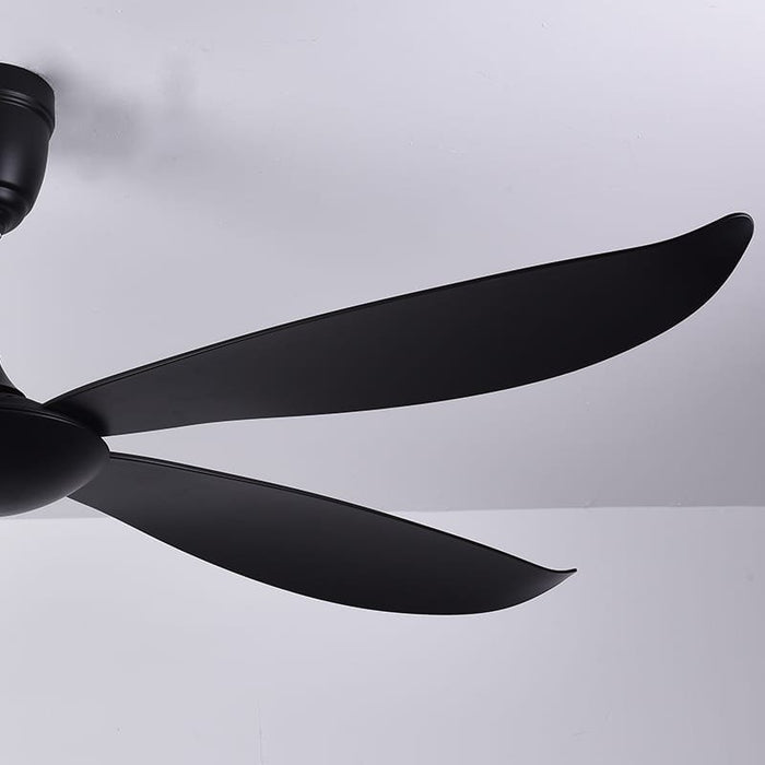 Catbird Black Ceiling Fan | 55W BLDC Motor | 1400mm | Black Body