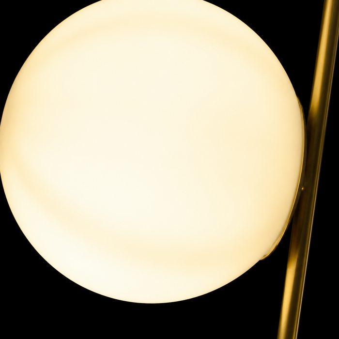 Circles of Light