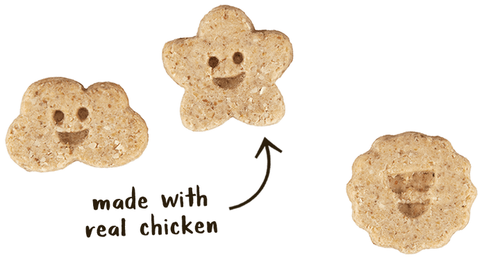 Cloud Star WAG MORE BARK LESS ITTY BITTY BISCUITS: CHICKEN & CARROTS