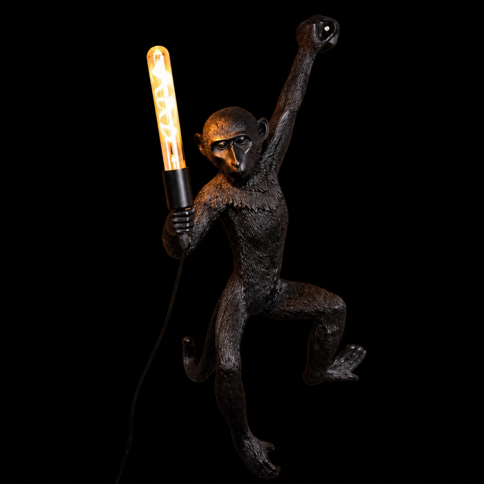 Creative Monkey Wall Light Fixture