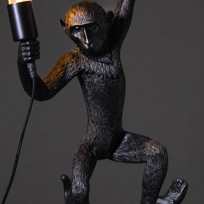 Creative Monkey Wall Light Fixture