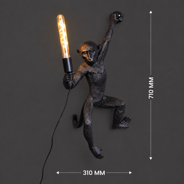 Creative Monkey Wall Light Fixture