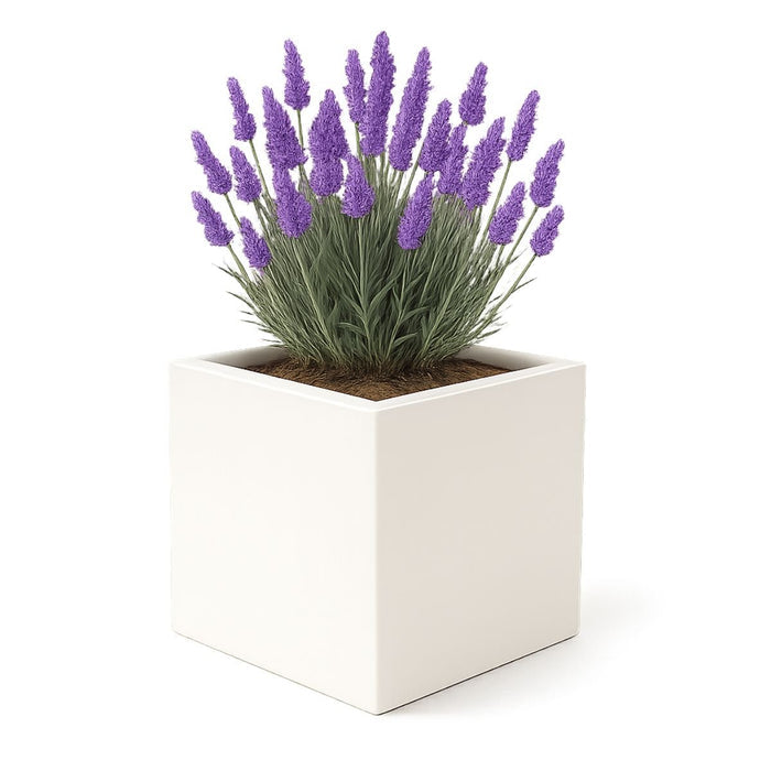 GARDRA Polyester plantenbak 40x40x40 cm - Zuiver Wit (RAL 9010) - Doika - Plantenbak - GARDRA -  - DOIKA-Ap-1-9010-RAL-9005