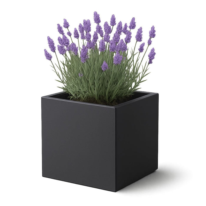 GARDRA Polyester plantenbak 50x50x50 cm - Zwartgrijs (RAL 7021) - Doika - Plantenbak - GARDRA -  - DOIKA-Ap-2-RAL-7021
