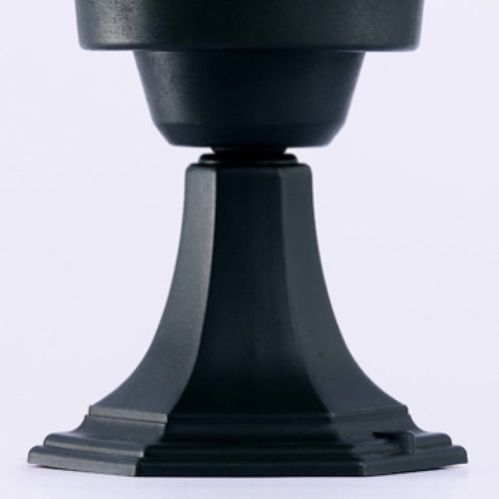 Globe Criss