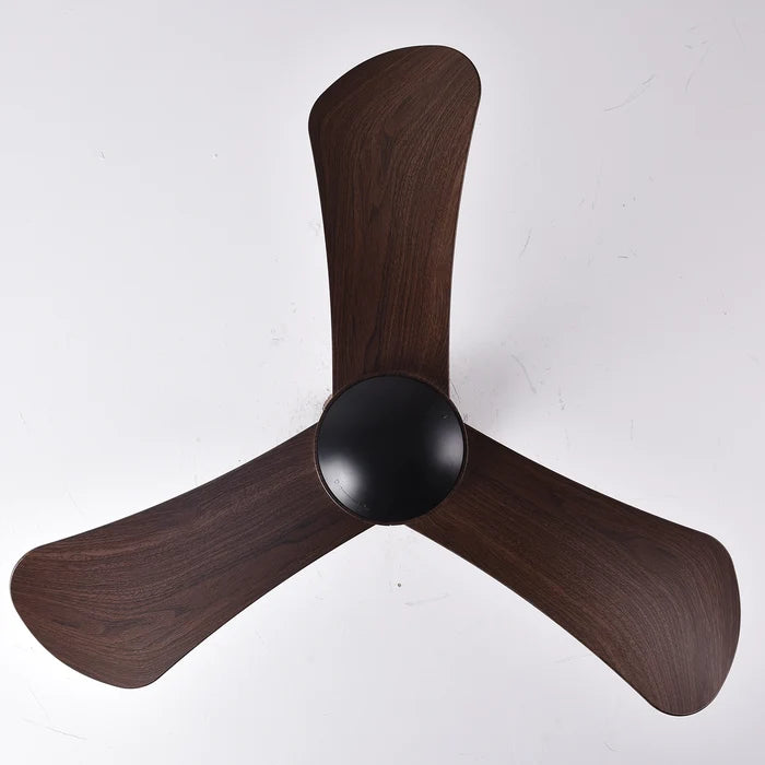Hawk Ceiling Fan | 35W BLDC Motor | 36-inch Fan |  ABS Blade