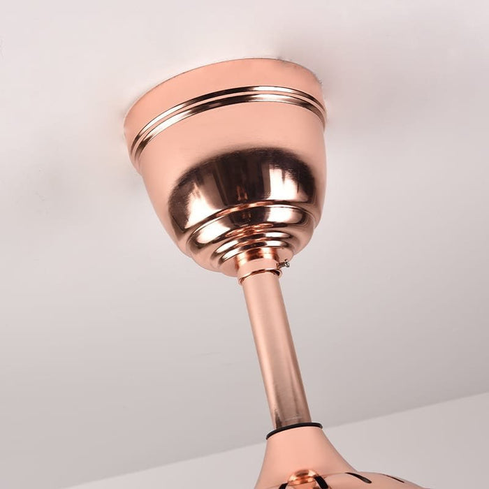 Hornbill (With lamp) Ceiling Fan | 38W BLDC Motor | 1220mm | Iron Body