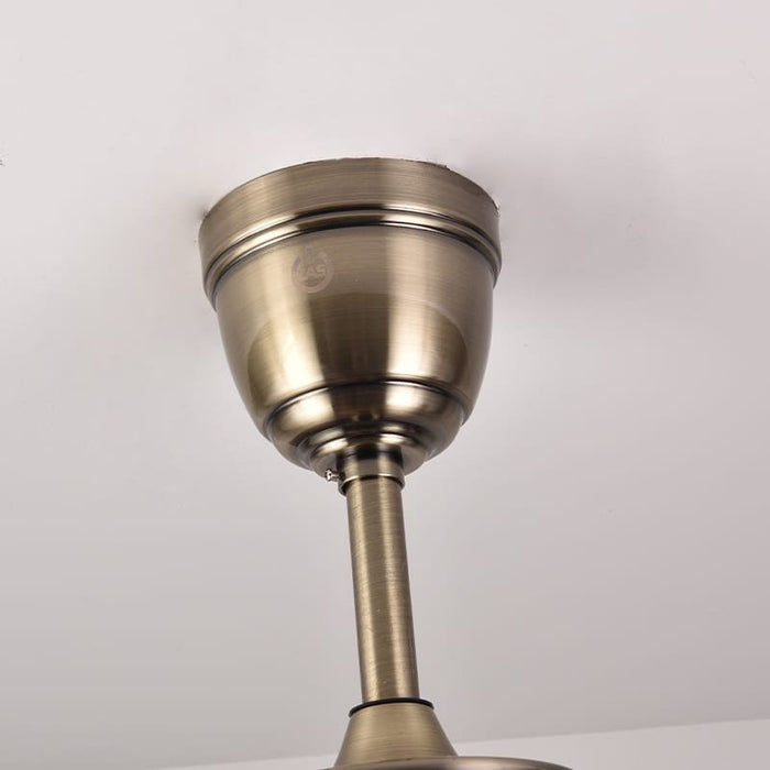 Kiwi Ceiling Fan | 50W BLDC Motor | 1320mm | Metal Body