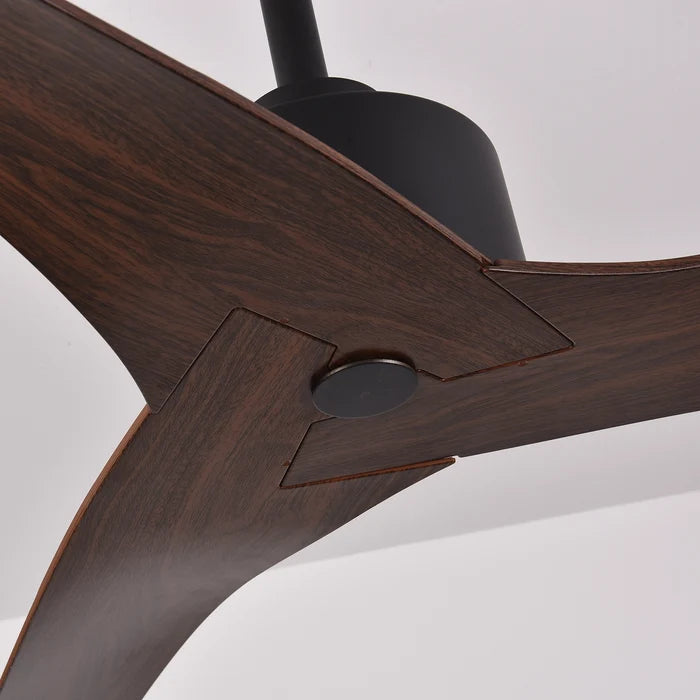 Macaw Ceiling Fan | BLDC 35W Motor | 52 inch Fan | ABS Body