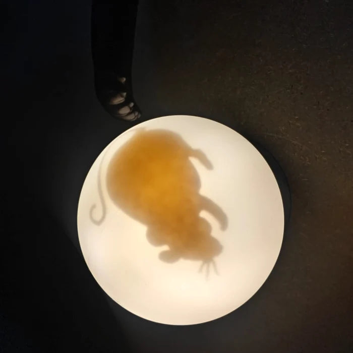 Midnight Mouse Hunter Wall Sconce