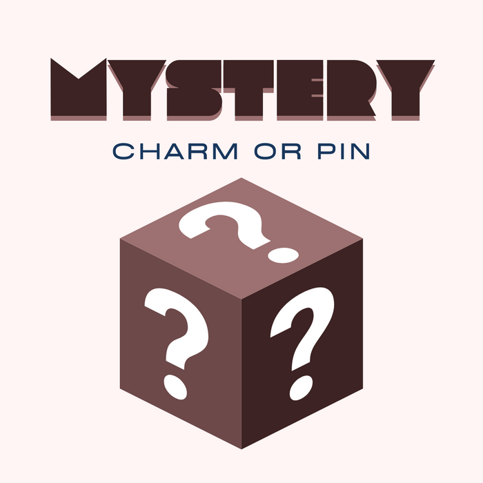 Mystery Charm or Pin