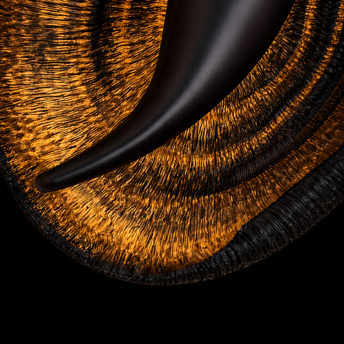 Obsidian Vortex Ember Disc Wall Light