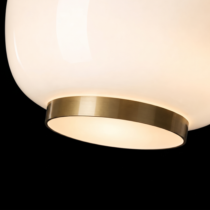 Orvella HaloDome Pendant Light(B)