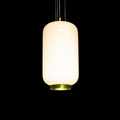 Orvella HaloDome Pendant Light(C)