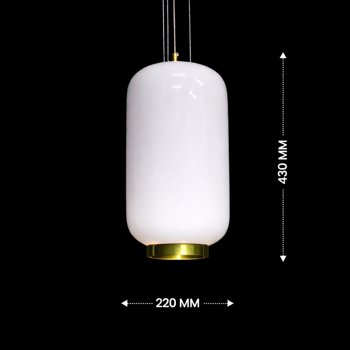 Orvella HaloDome Pendant Light(C)