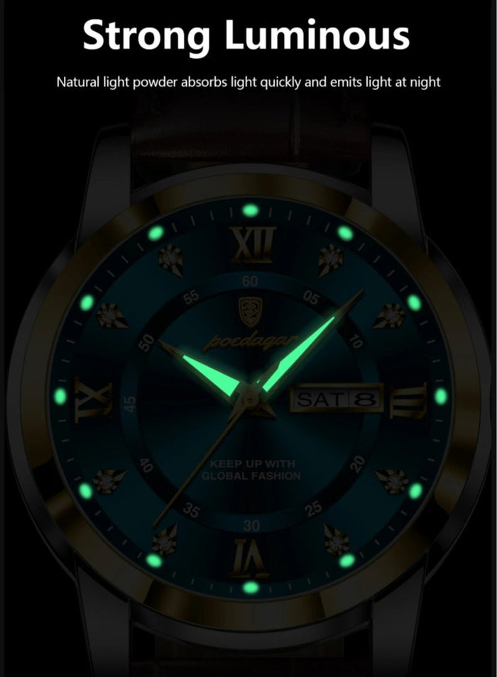 POEDAGAR Man Watch , Watches for Men , Waterproof Luminous Men's Watch Quartz, Men's Wrist Watches 41mm