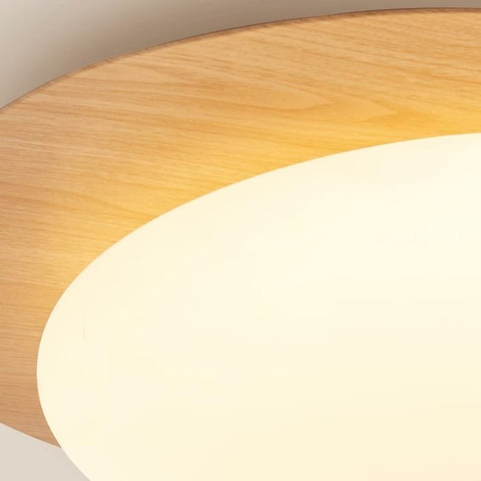 Shell & Yolk Acrylic Ceiling Lamp