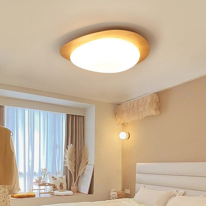 Shell & Yolk Acrylic Ceiling Lamp