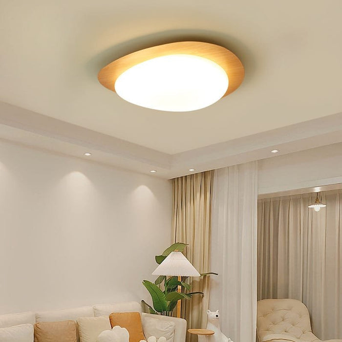 Shell & Yolk Acrylic Ceiling Lamp