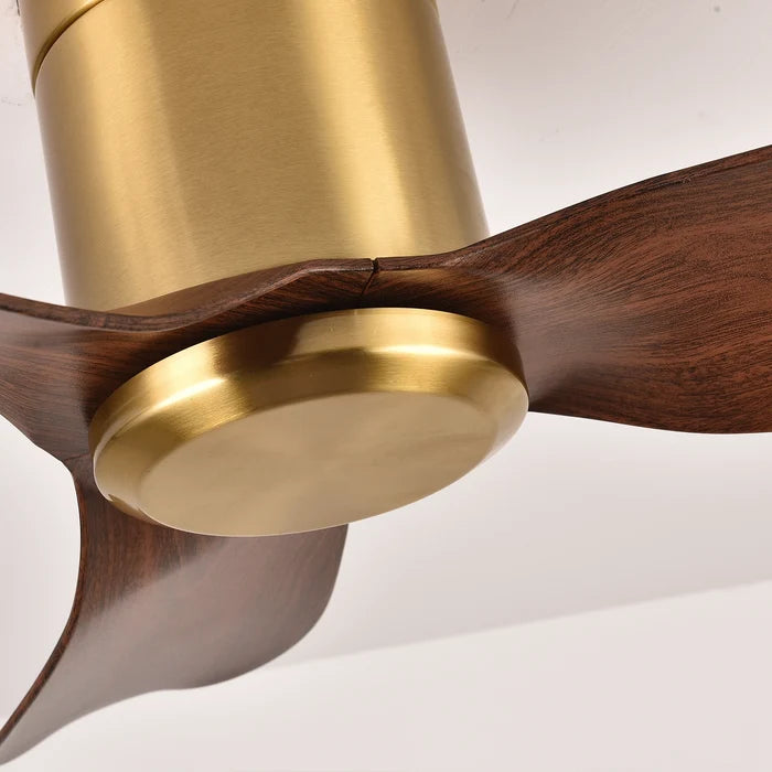 Starling38 Ceiling Fan | 40W BLDC Motor | 38-inch Fan |  Antique Bronze