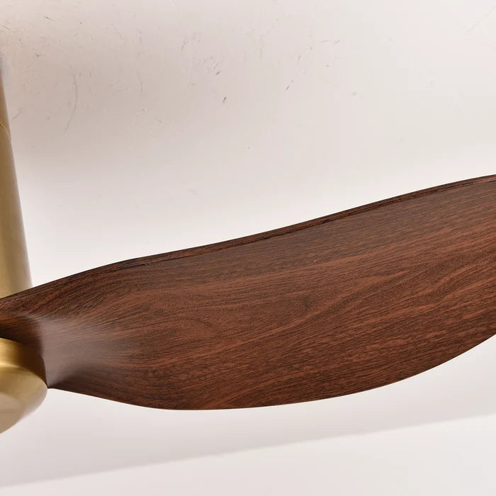 Starling38 Ceiling Fan | 40W BLDC Motor | 38-inch Fan |  Antique Bronze