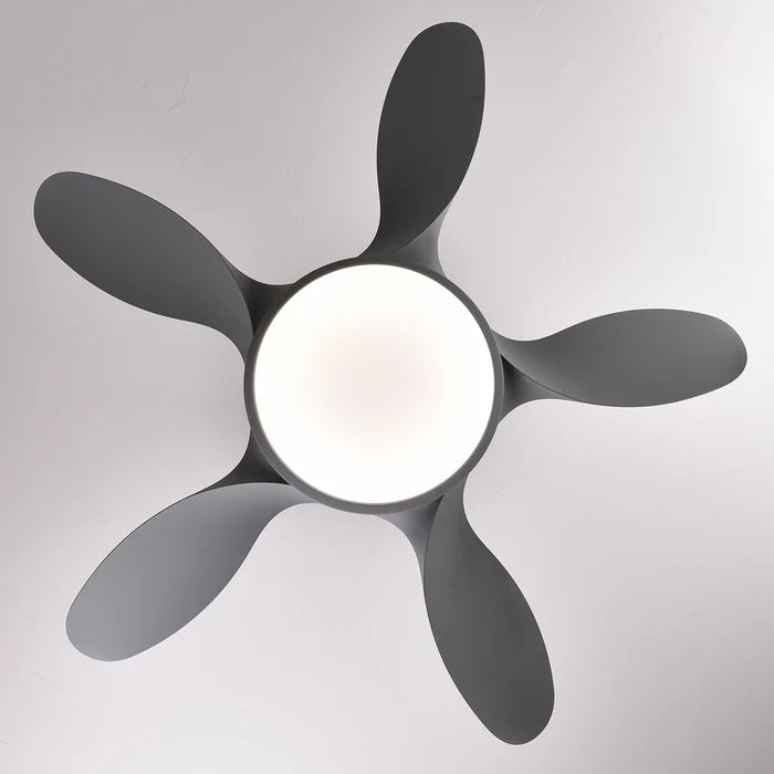 Sunbird Underlight LED Ceiling Fan | 40W BLDC Motor | 42 inch Fan