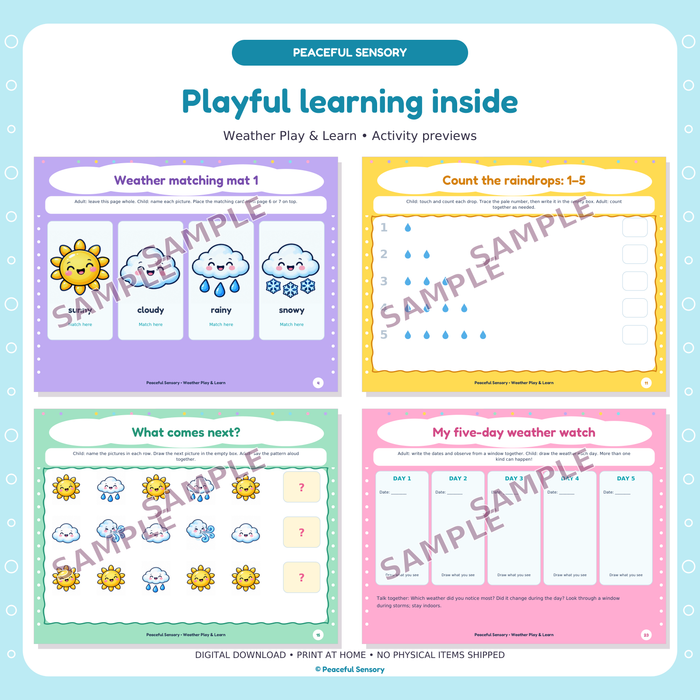 Weather Play Pack